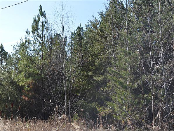 2nd image of 153 Sandifer Rd