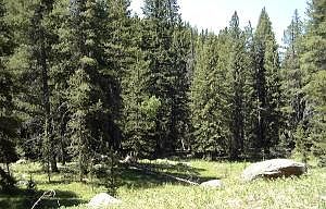 1st image of 3562 COUNTY ROAD 8