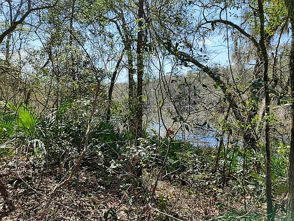 3rd image of 25 Charles Springs River Ests #1