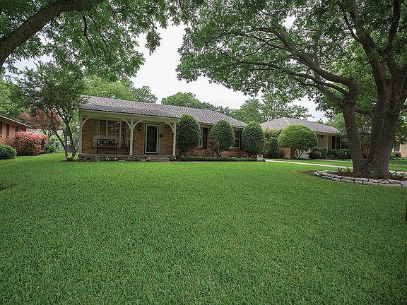 Large shade trees
