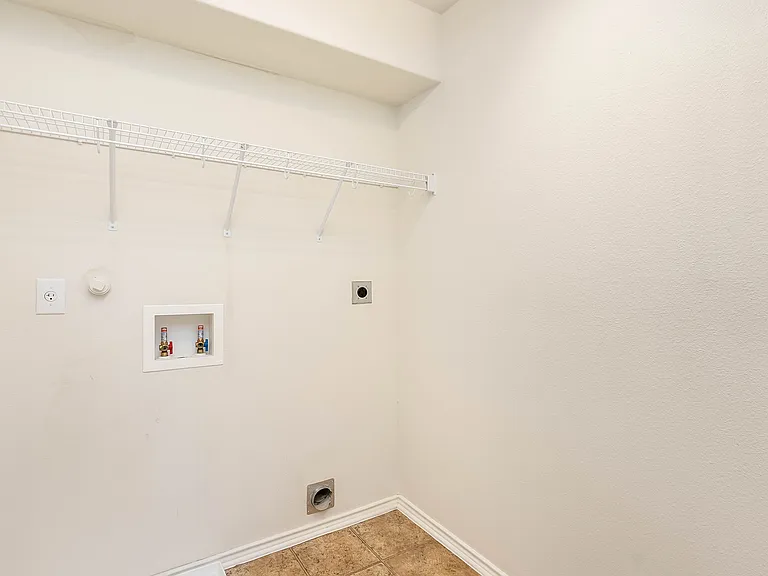 714 Celosia — Photo 8