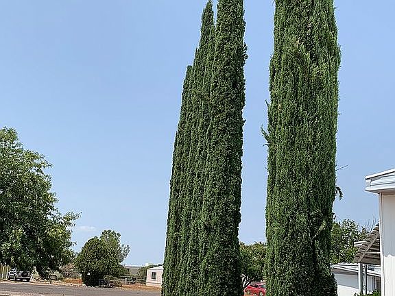 3rd image of 4928 E Cypress Pl