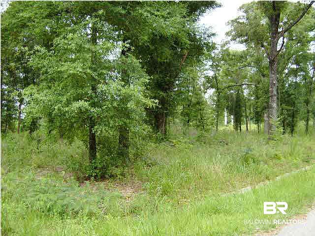 1st image of 0 Stagner Rd