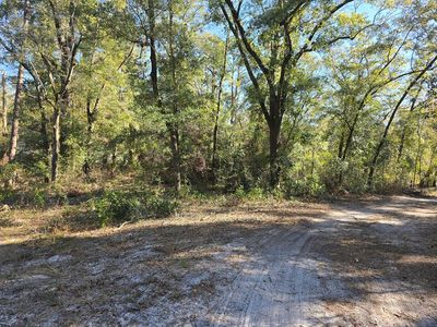 TBD NW 57th Ln, Chiefland, FL, 32626