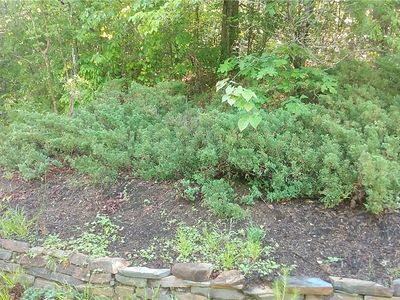 LOT 29 Lake Breeze Rd, Westminster, SC, 29693