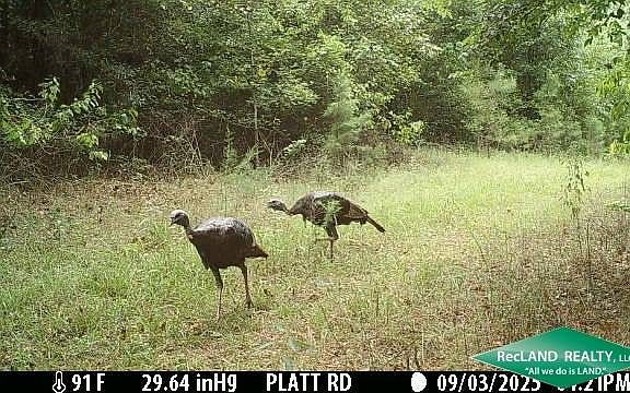 3rd image of 0 Platt Rd