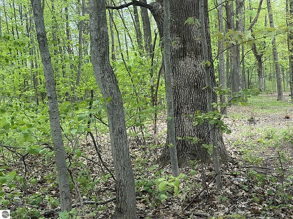 3rd image of 7785 Arrowhead Dr