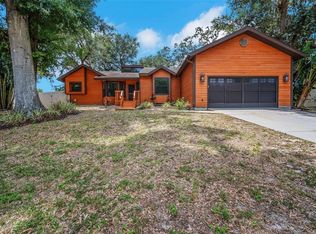 1004 Black Knight Dr, Valrico, FL 33594