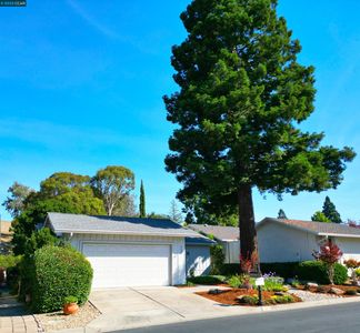 558 Saint George Rd, Danville, CA, 94526
