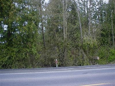 2nd image of Rush Rd