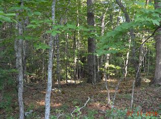 1103 Wells Rd, Brasstown, NC 28902