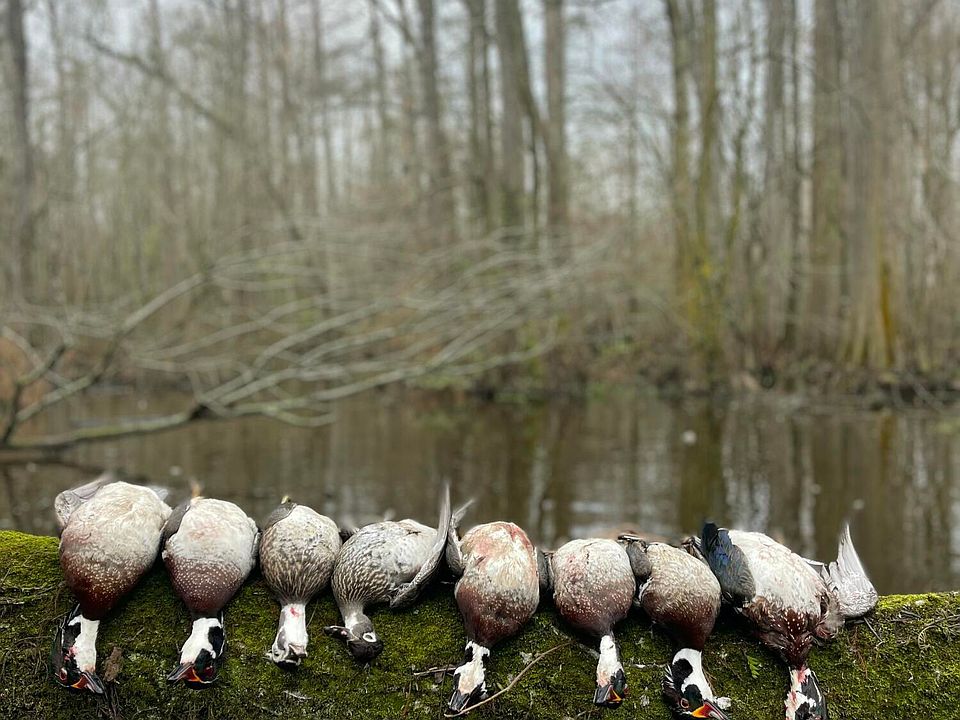 1st image of 00 Gurman Powell Road