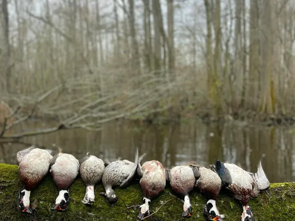 00 Gurman Powell Road, Kenansville, NC 28349