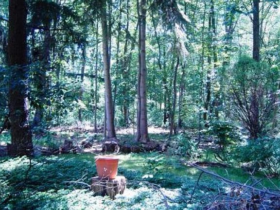 Magical property potential