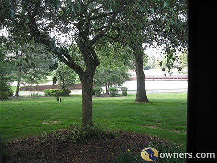 Beautiful views from virtually every room