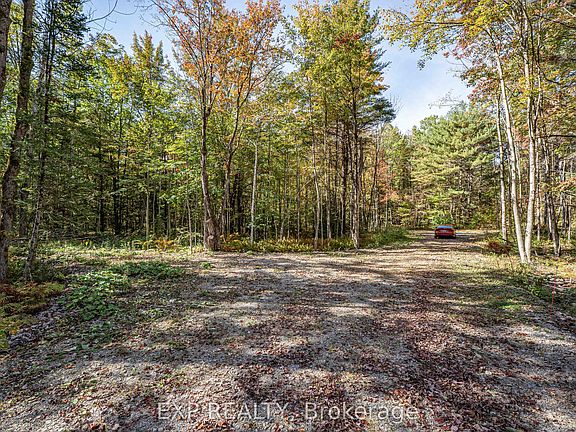 3rd image of 3124 Southwood Rd