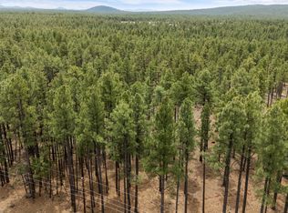 9241 Morgan Mountain Rd, Lakeside, AZ 85929