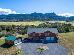 14250 S Ouray Ct, Collbran, CO 81624