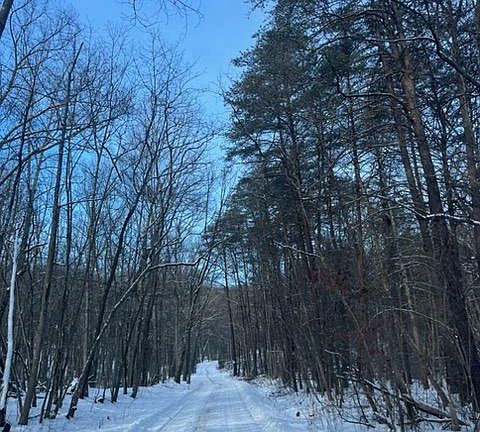 4th image of Quaint Acres Ln