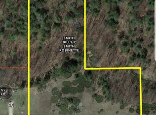 W 30th Rd, Harrietta, MI 49638