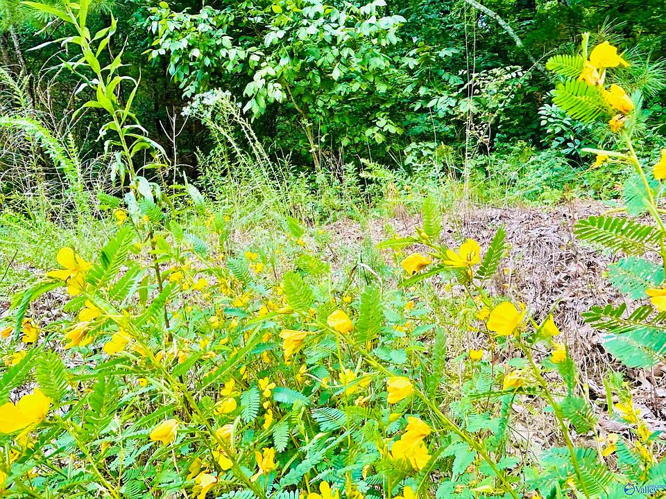 4752 Indian Hills Rd SE, Decatur, AL 35603 MLS 21842580 Zillow