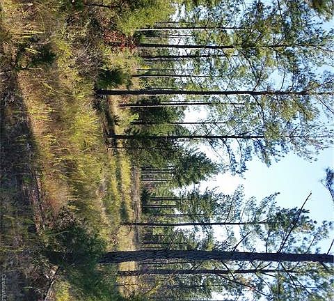 4th image of 949 Maggie Harris Rd
