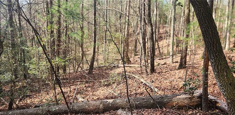 1st image of Cane Creek Church Rd