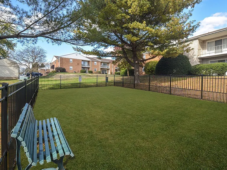 Shaded Dog Park
