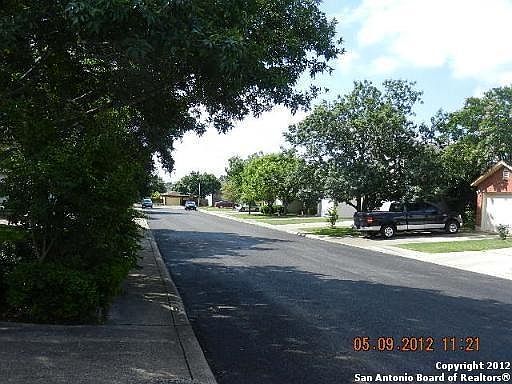 3rd image of 15434 Cross Vine