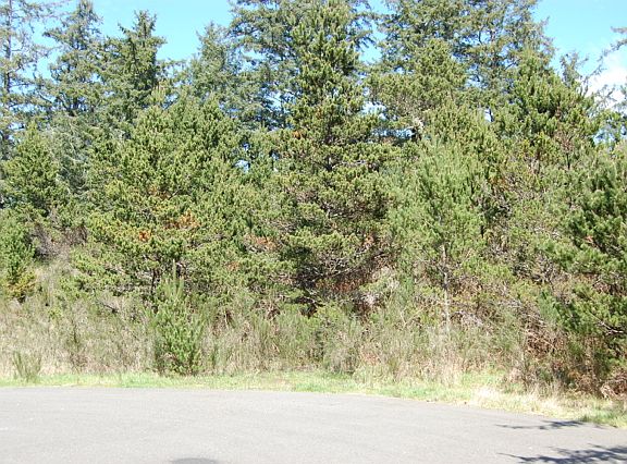 2nd image of 970 Camoko Ct SE