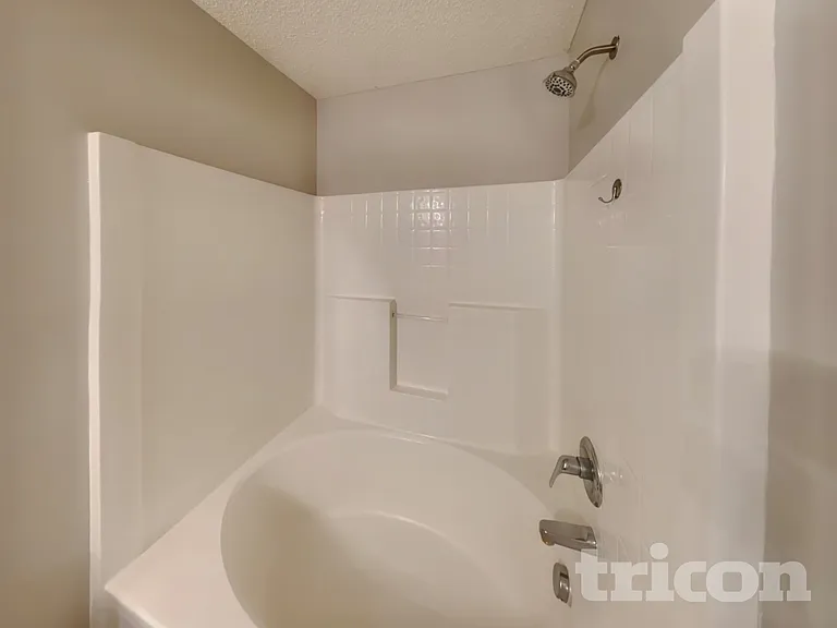 217 Wild Olive Dr — Photo 9