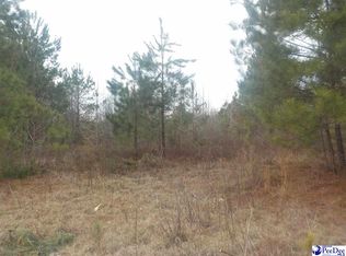 Elliot Ln, Bennettsville, SC 29512