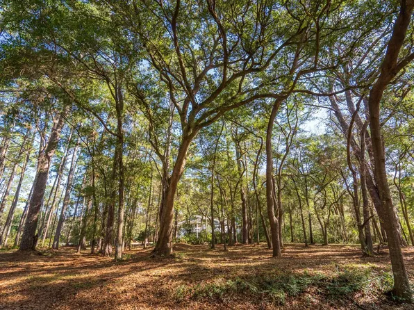 1 Foredeck Ln, Edisto Island, SC 29438