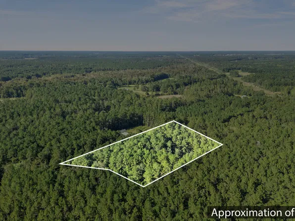 0 Near N Wright Way, Burgaw, NC 28425