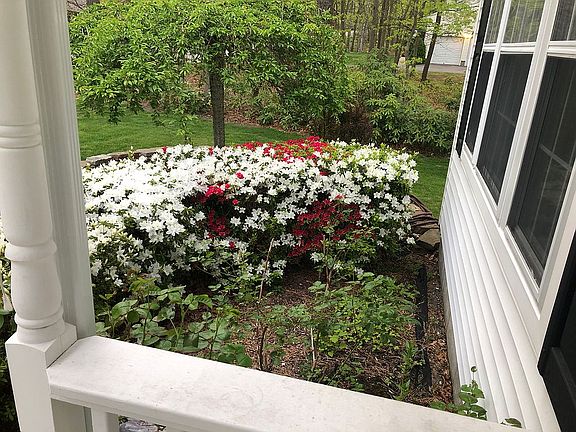 4th image of 17 Rockhill Cir