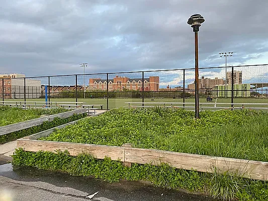 Rented by Prime Homes Management | media 19