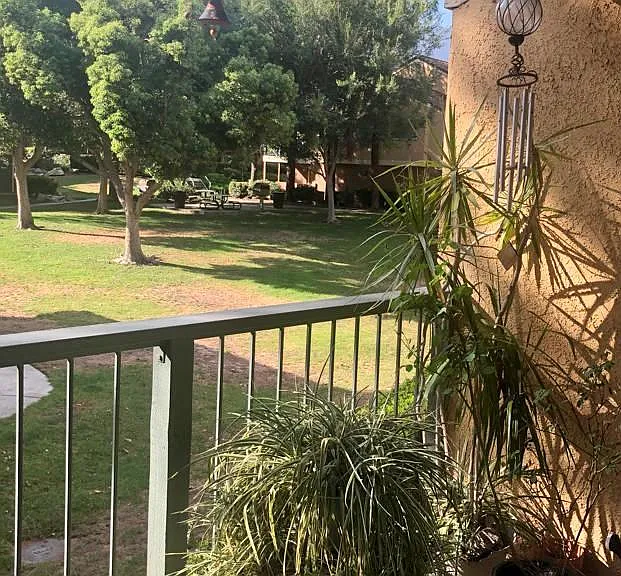 Large patio with landscaping views