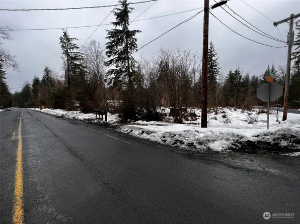 0 Skate Creek Road, Ashford, WA 98304