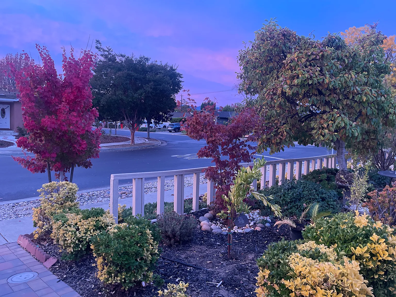 6 bed, 1960 sqft, $6,880 — Photo 4