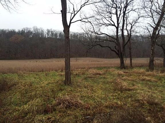 2nd image of 363 Holt Tct C Ln