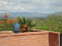 Patio View