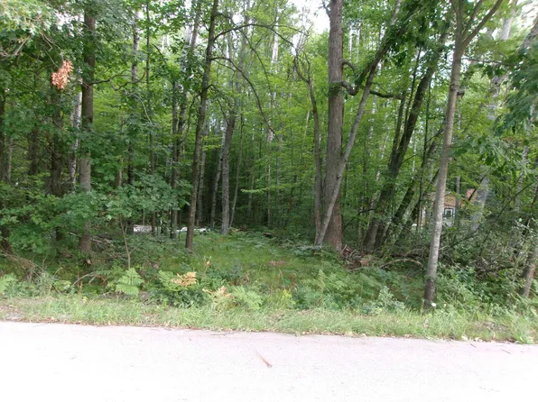 Nhn Shadowbrook Dr, Lake, MI 48632