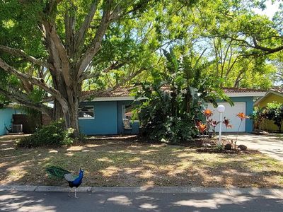 2047 Indigo Dr, Clearwater, FL, 33763