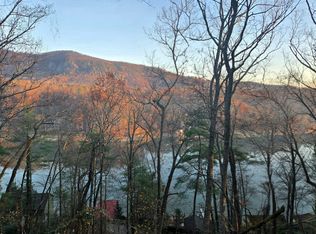 254 Seton Rd, Lake Lure, NC 28746