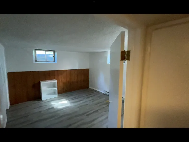 Basement Bedroom #2