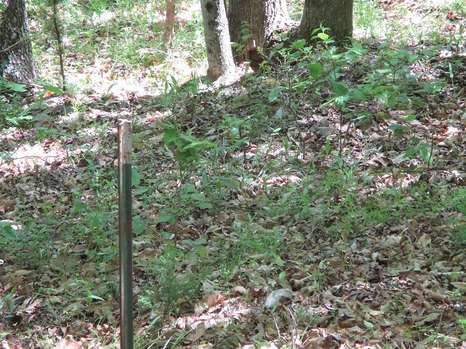 2nd image of Blue Ridge Rd