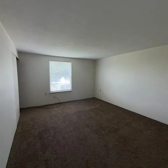 336 Grove St — Photo 4