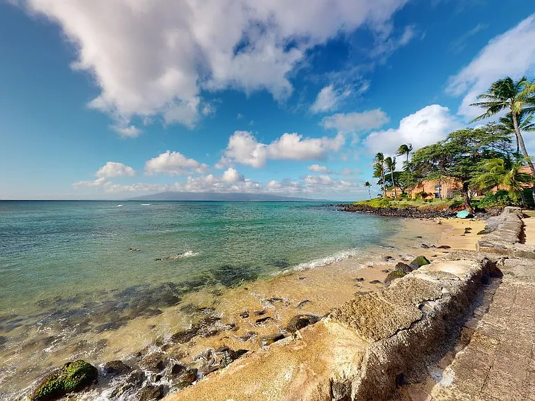3901 Lower Honoapiilani Rd — Photo 21
