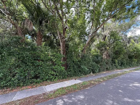 King Ave Lot 210, Zellwood, FL 32798