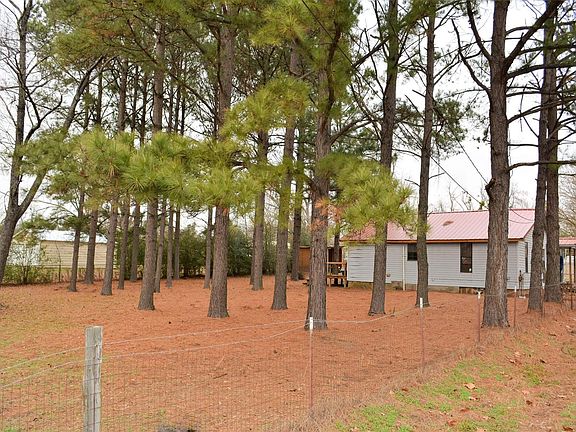 Yard - Southern Side